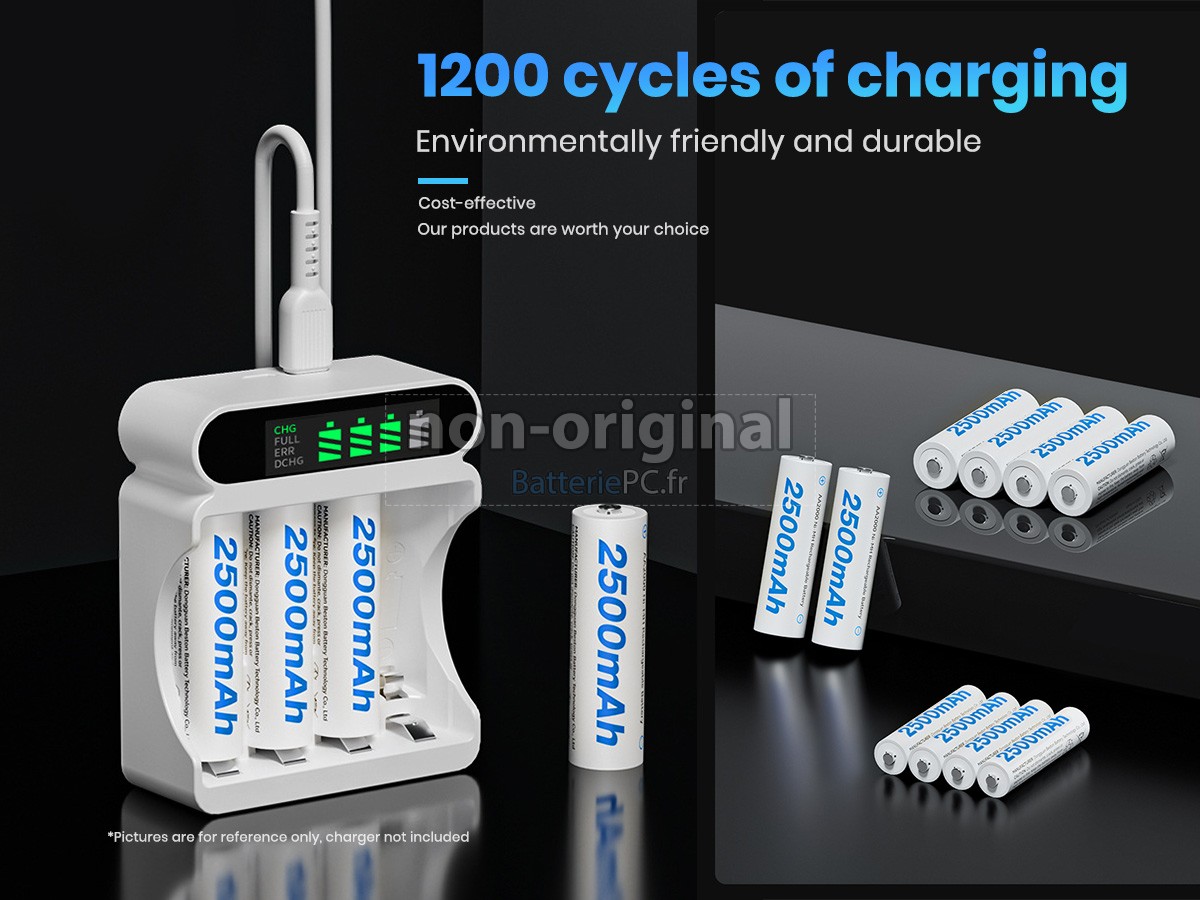 batterie pour AolsteCell R6