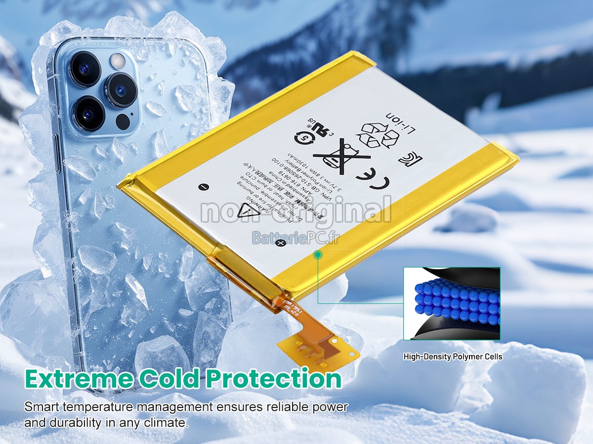 batterie pour Apple IPOD TOUCH 5