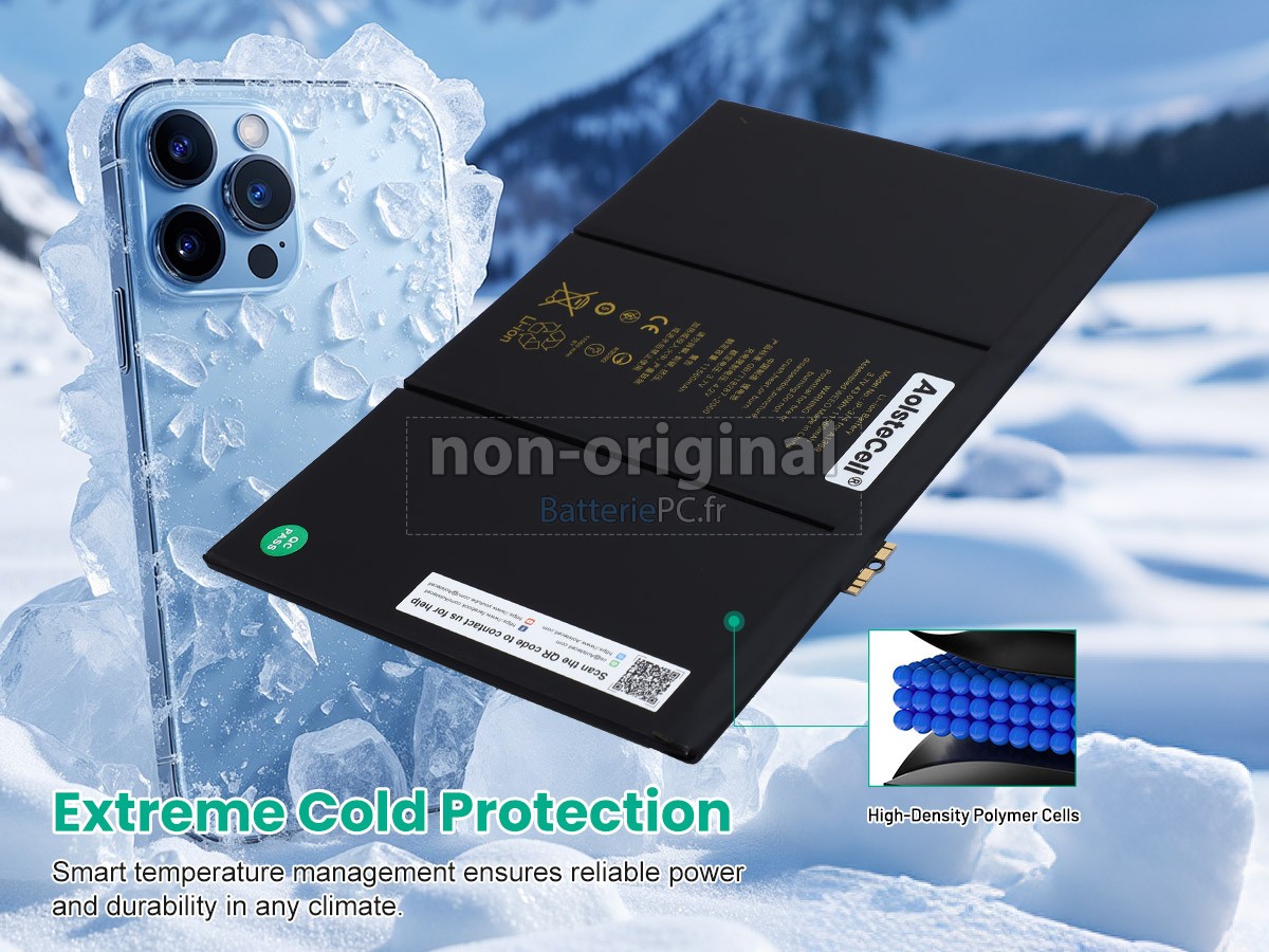 batterie pour Apple iPad 3 3RD Generation