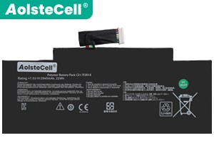 batterie pour pc portable Asus TF300TG