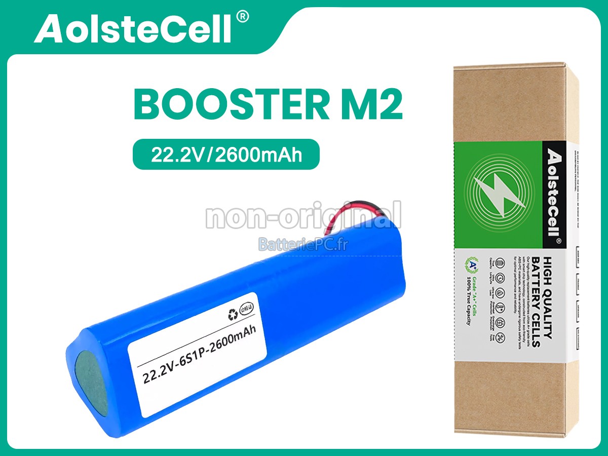 batterie pour Boluojun M2