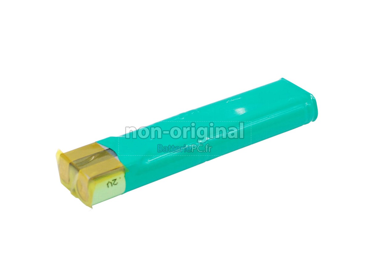 batterie pour BrandTech RA 17003233