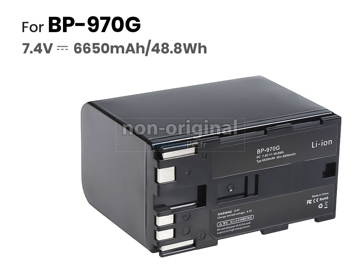 batterie pour Canon XH G1S