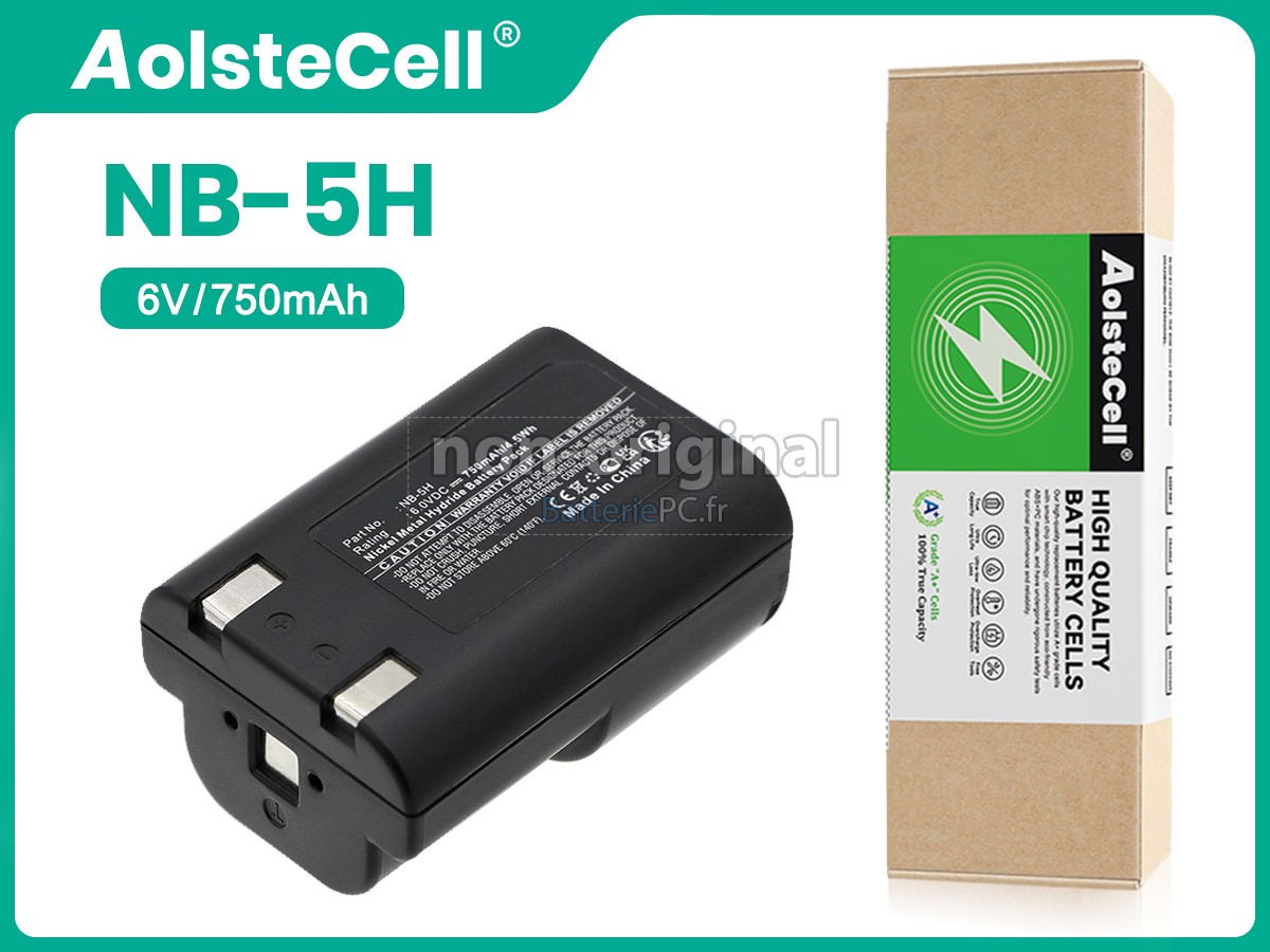 batterie pour Canon POWERSHOT A5 ZOOM