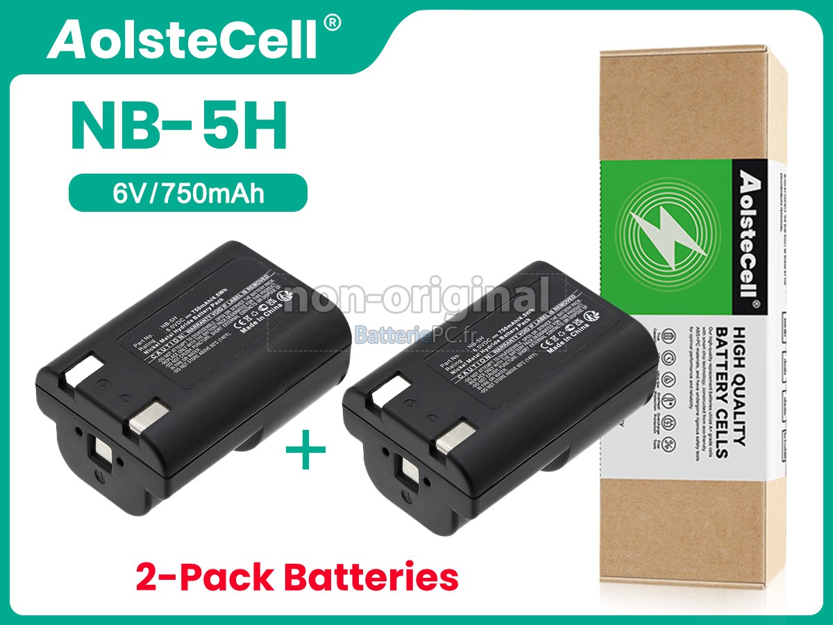 batterie pour Canon POWERSHOT A5 ZOOM