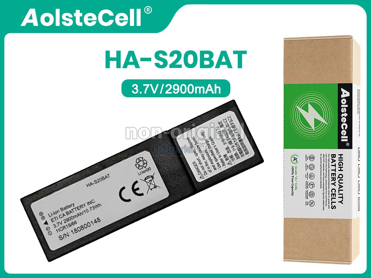 batterie pour CASIO DT-X450