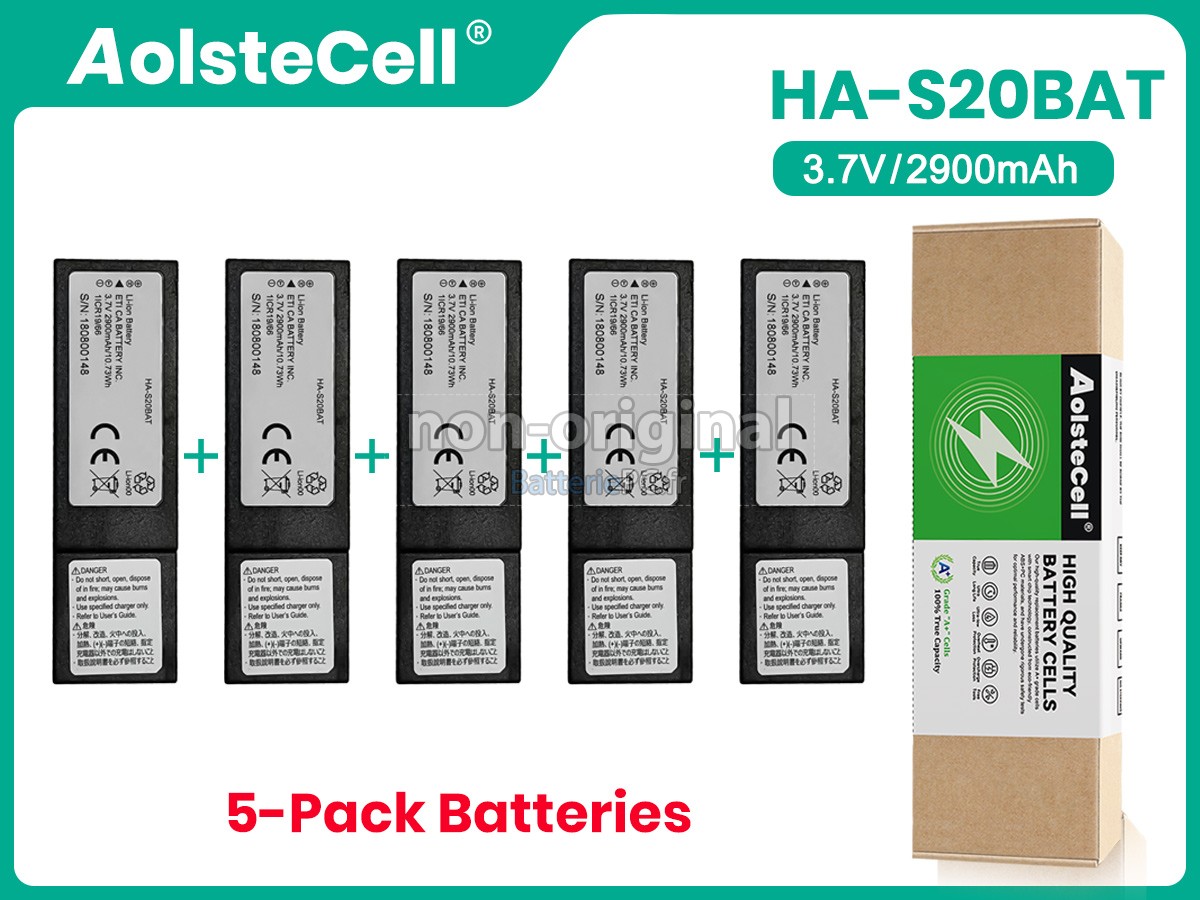 batterie pour CASIO DT-X450