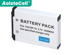batterie pour pc portable Casio Exilim Zoom EX-Z150
