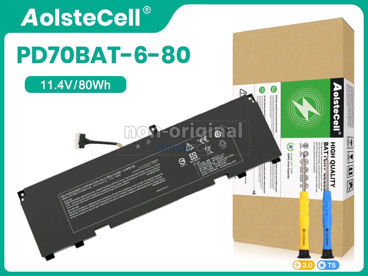 batterie pour Clevo GAMING GURU RAIN RTX3070TI (PD70PNN)