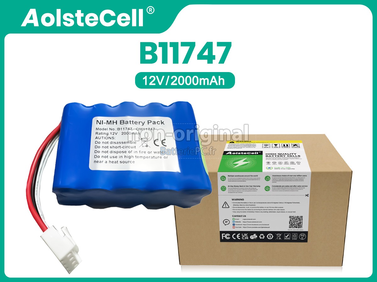 batterie pour Delfi B11747
