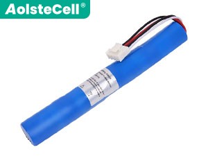 Batterie pour ordinateur portable  GE TruSat Oximeter