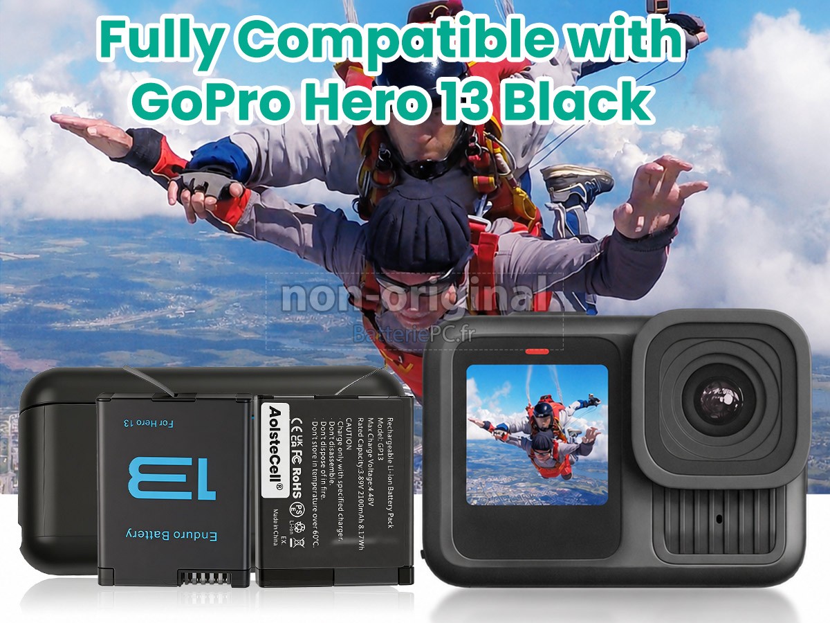 batterie pour GoPro HERO13