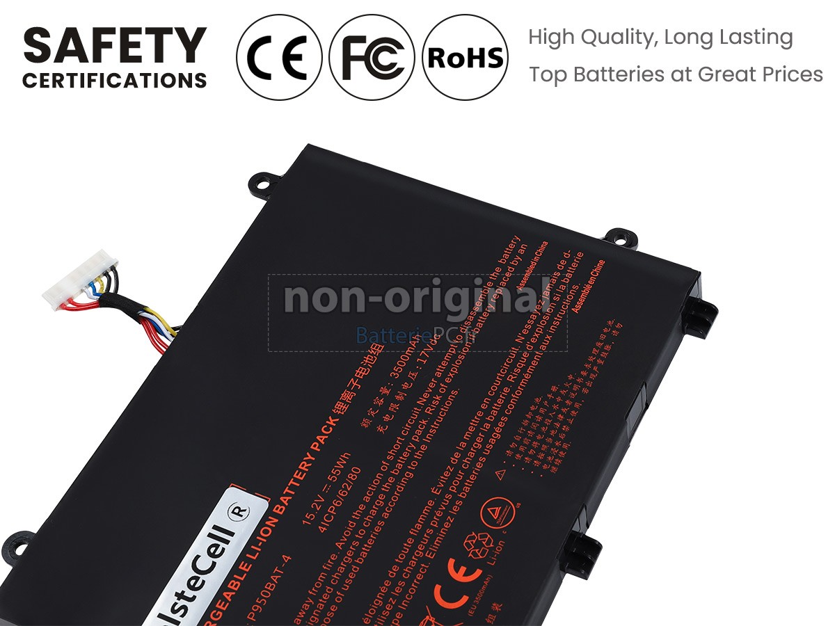 batterie pour Hasee NP8953