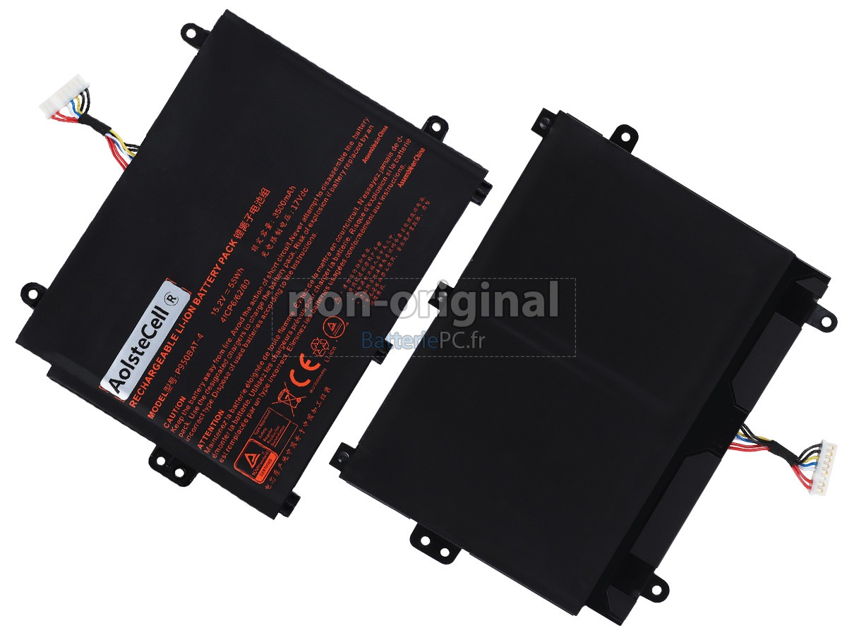 batterie pour Hasee NP8953