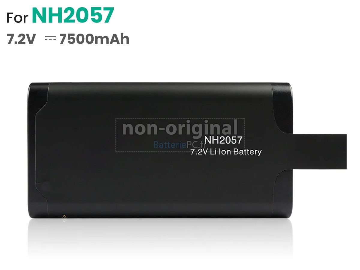 batterie pour Inspired Energy NH2057