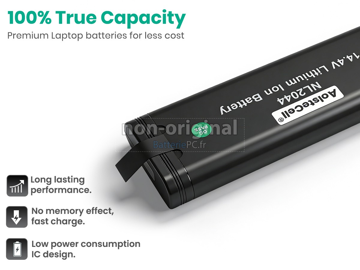 batterie pour Inspired Energy NL2044