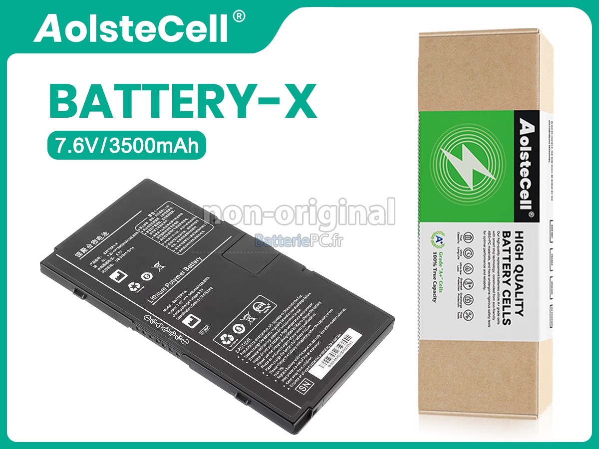 batterie pour Iray BATTERY-X