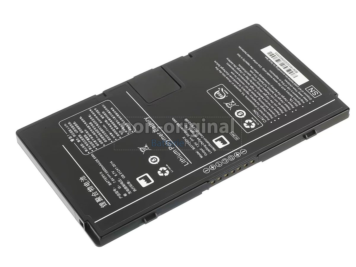 batterie pour Iray BATTERY-X