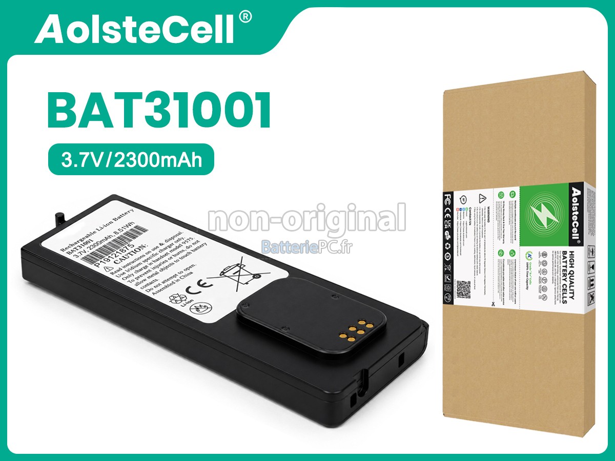 batterie pour Iridium BAT31001