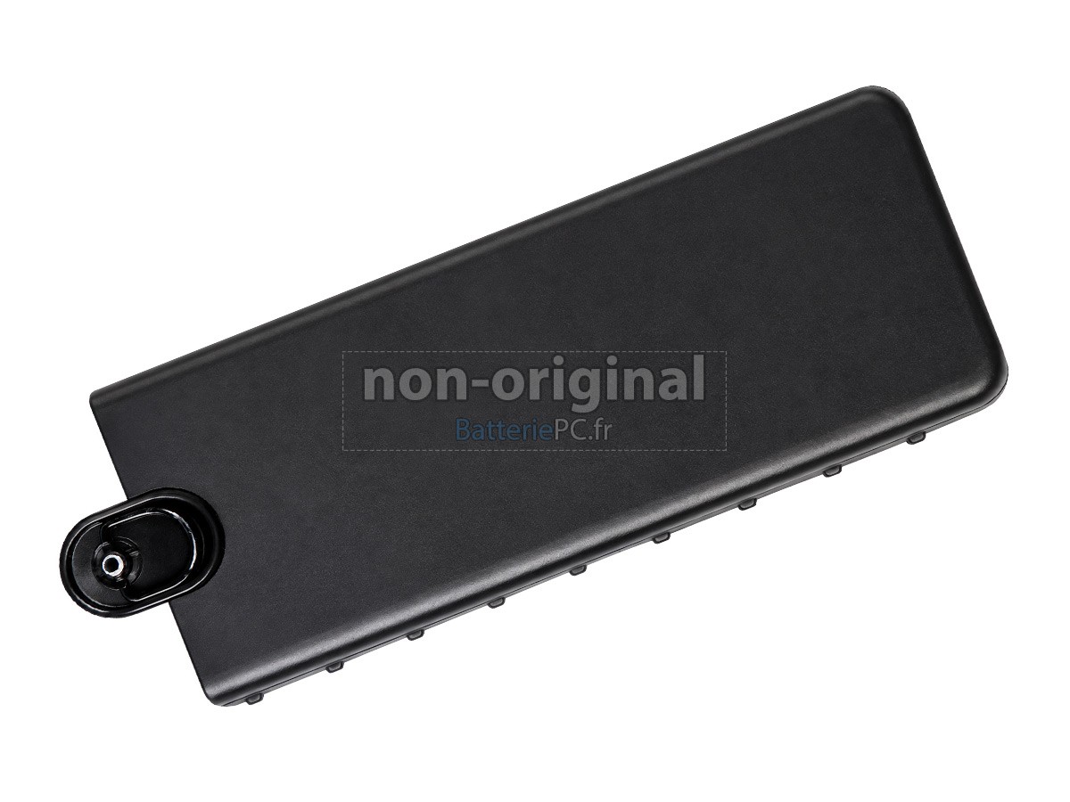 batterie pour Iridium BAT31001