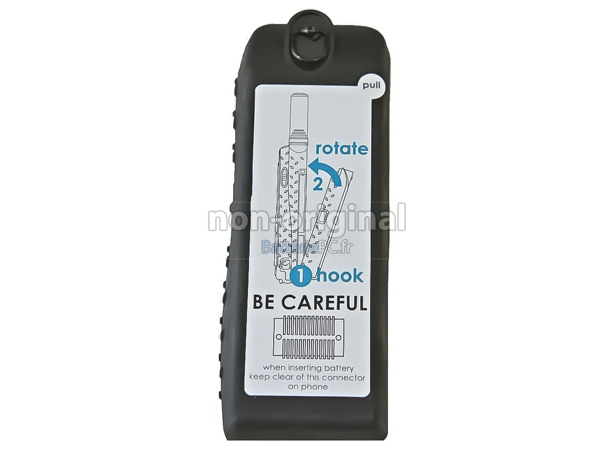batterie pour Iridium 9575A