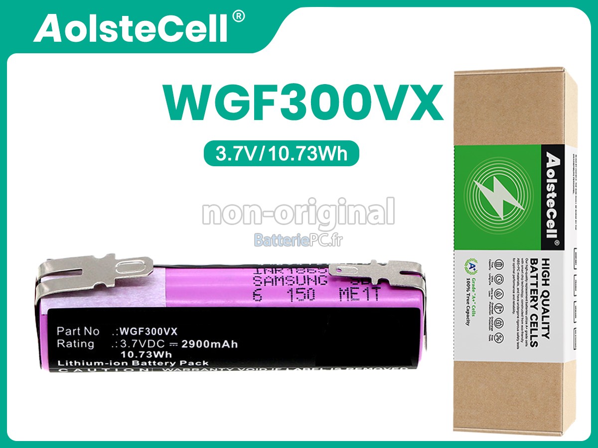 batterie pour Karcher WV2 PREMIUM