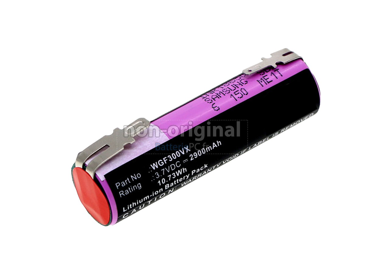 batterie pour Karcher WV2 PREMIUM