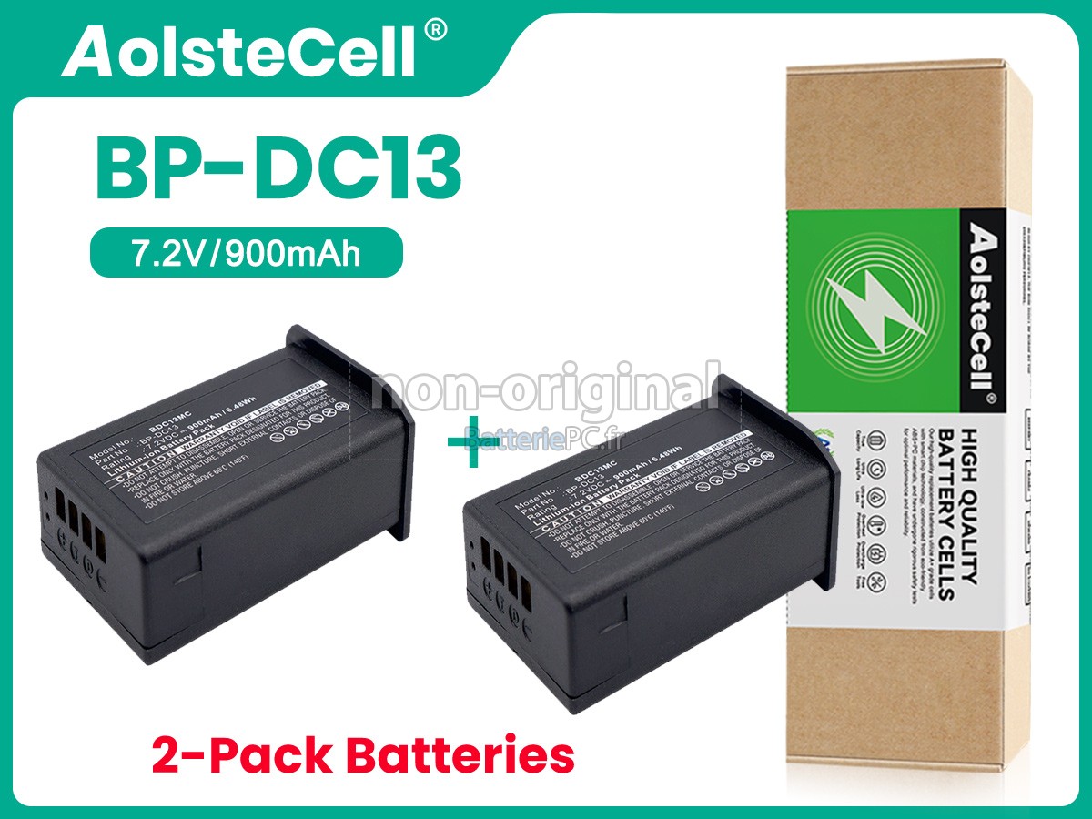 batterie pour Leica SILVER 19800