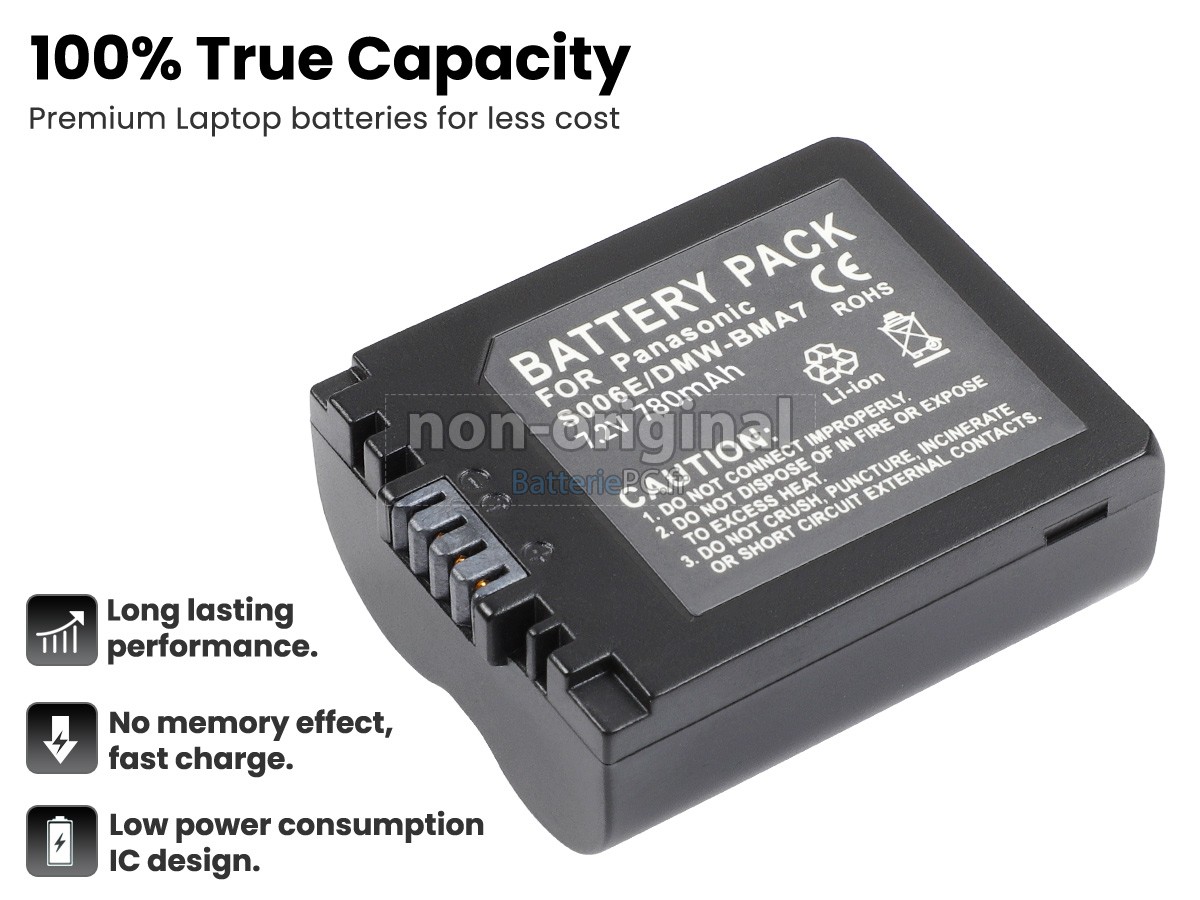 batterie pour Leica V-LUX1