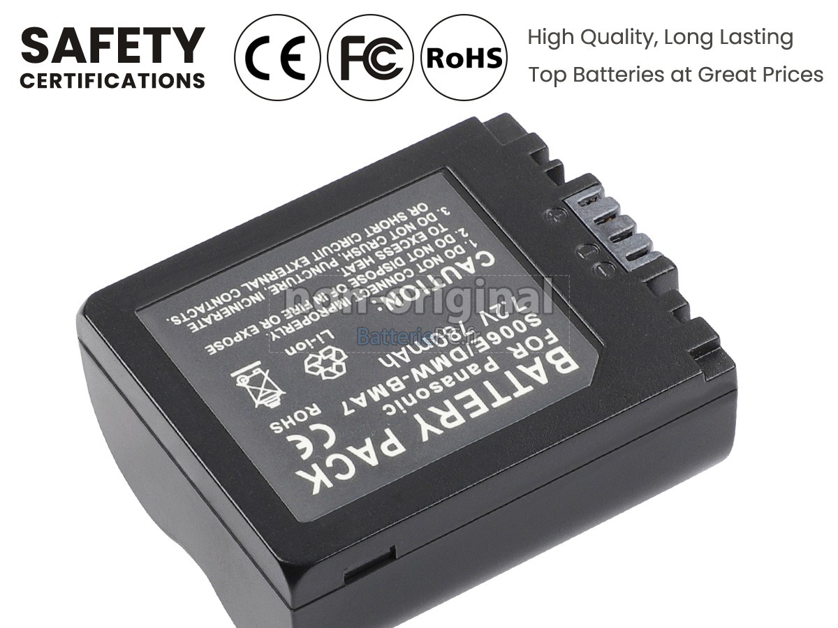 batterie pour Leica V-LUX1