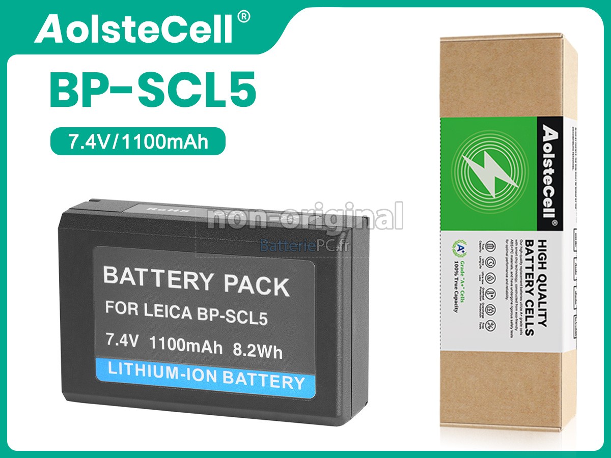 batterie pour Leica M10-P