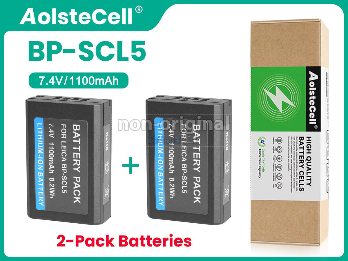 batterie pour Leica M10-P