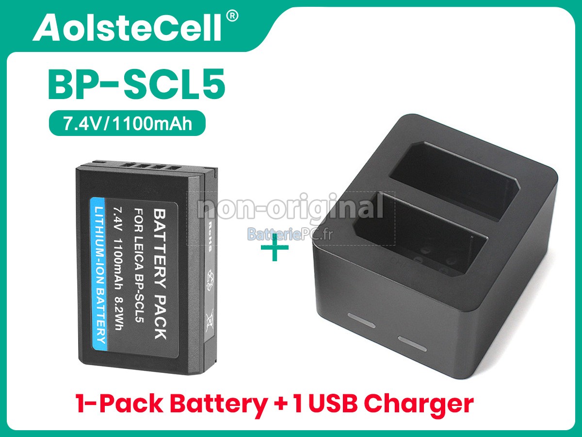 batterie pour Leica M10-P