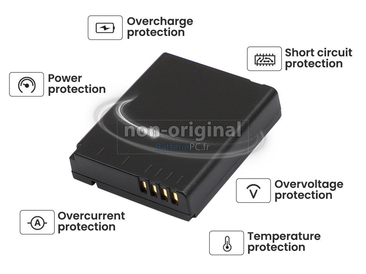 batterie pour Leica D-LUX 6