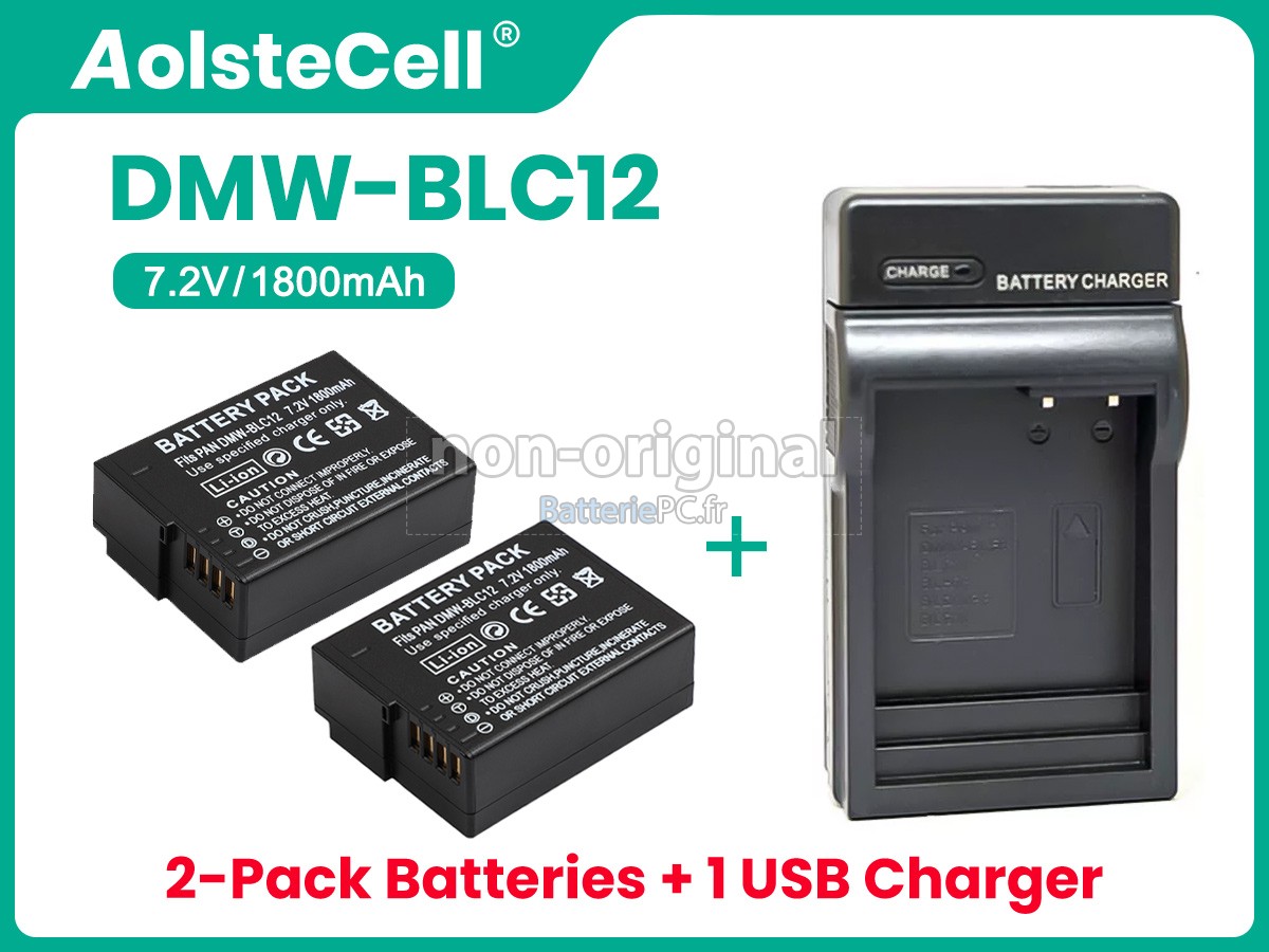 batterie pour Leica V-LUX 5