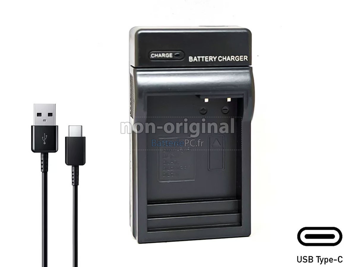 batterie pour Leica V-LUX 5