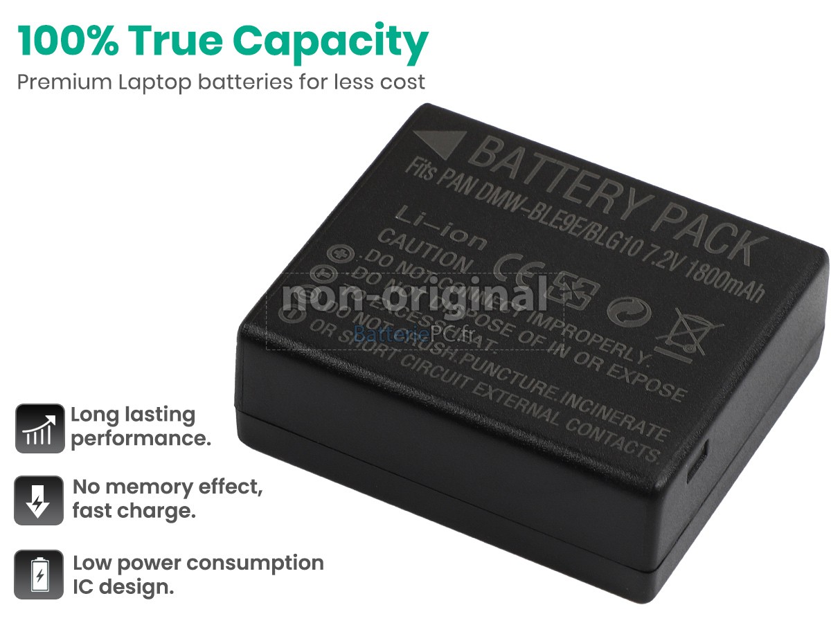 batterie pour Leica BP-DC15