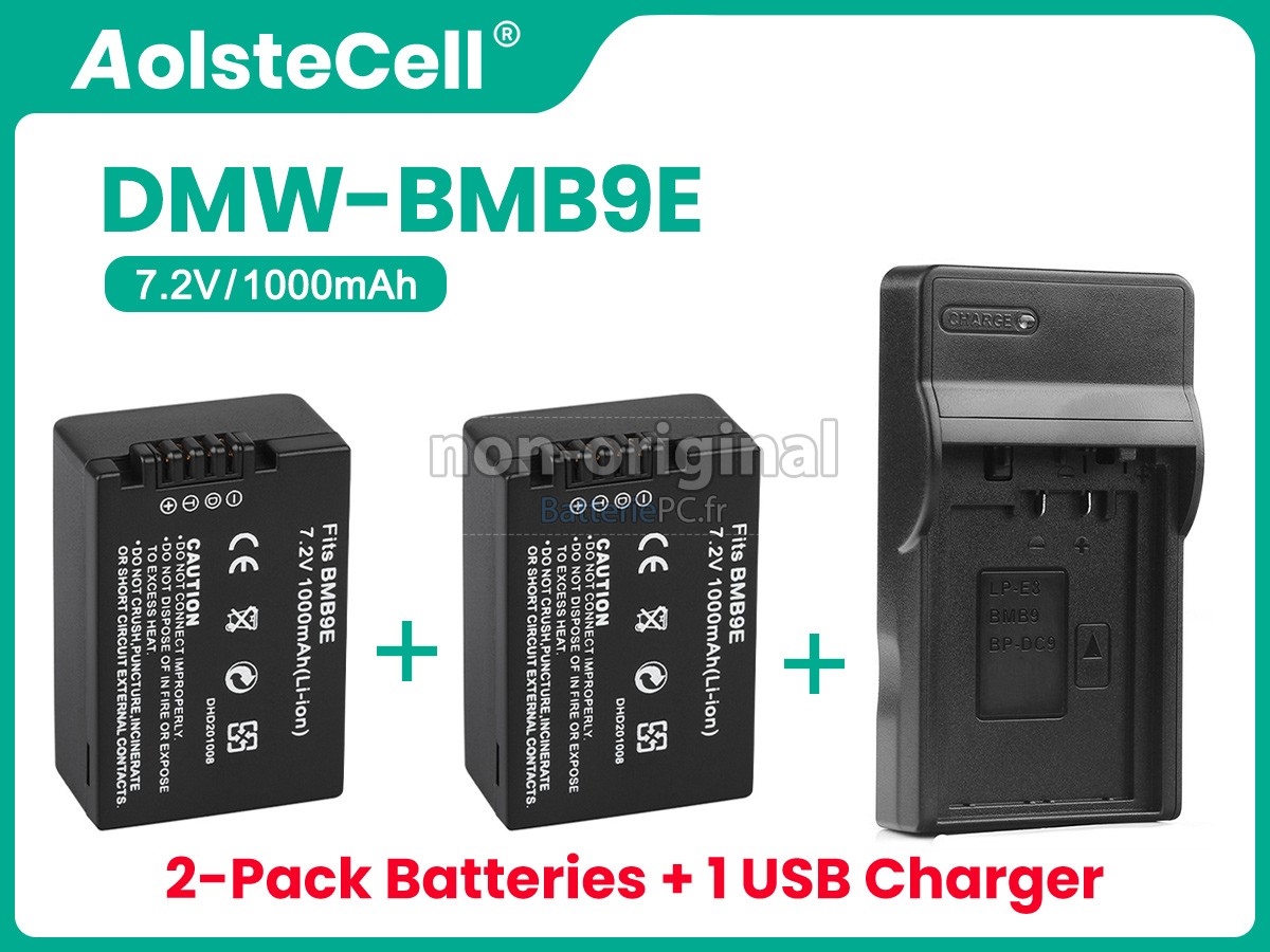 batterie pour Leica V-LUX 3