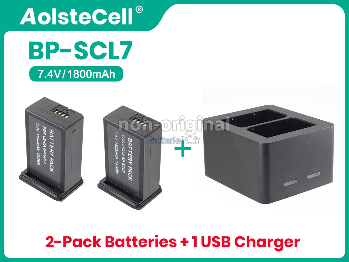 batterie pour Leica M11-P