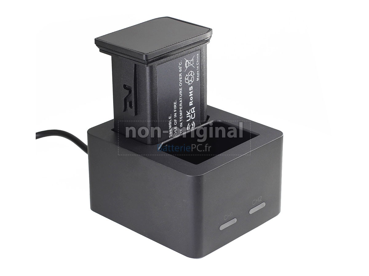 batterie pour Leica M11-P