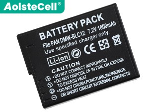 batterie pour pc portable Leica V-LUX 5