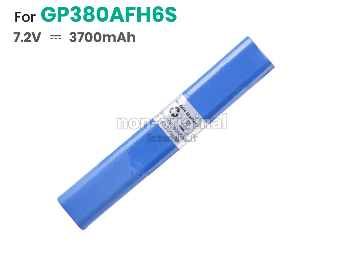 batterie pour Mettler Toledo CRANEMATE