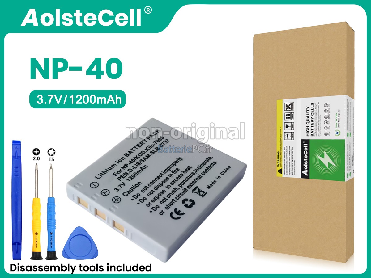 batterie pour Minolta NP1