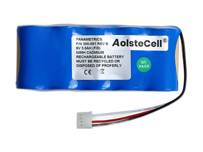 Batterie compatible pour Panametrics 200-081