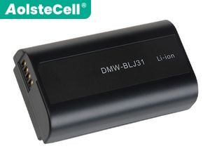 batterie pour pc portable Panasonic DC-S1H