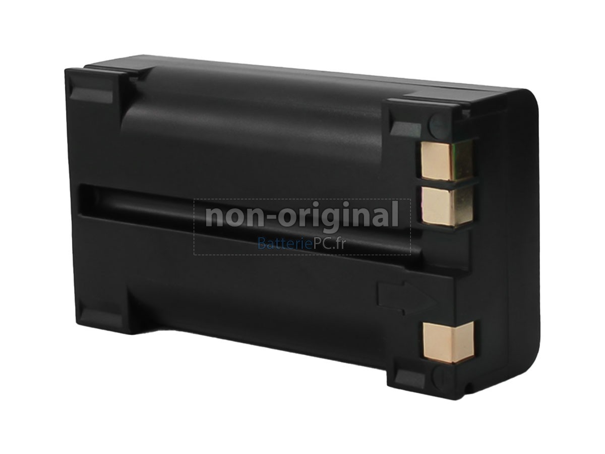 batterie pour PENTAX 10002