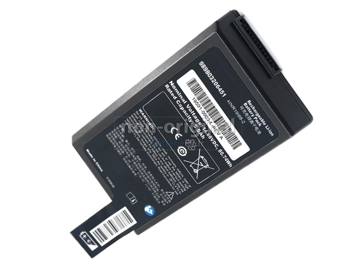 batterie pour Philips EFFICIA DFM200