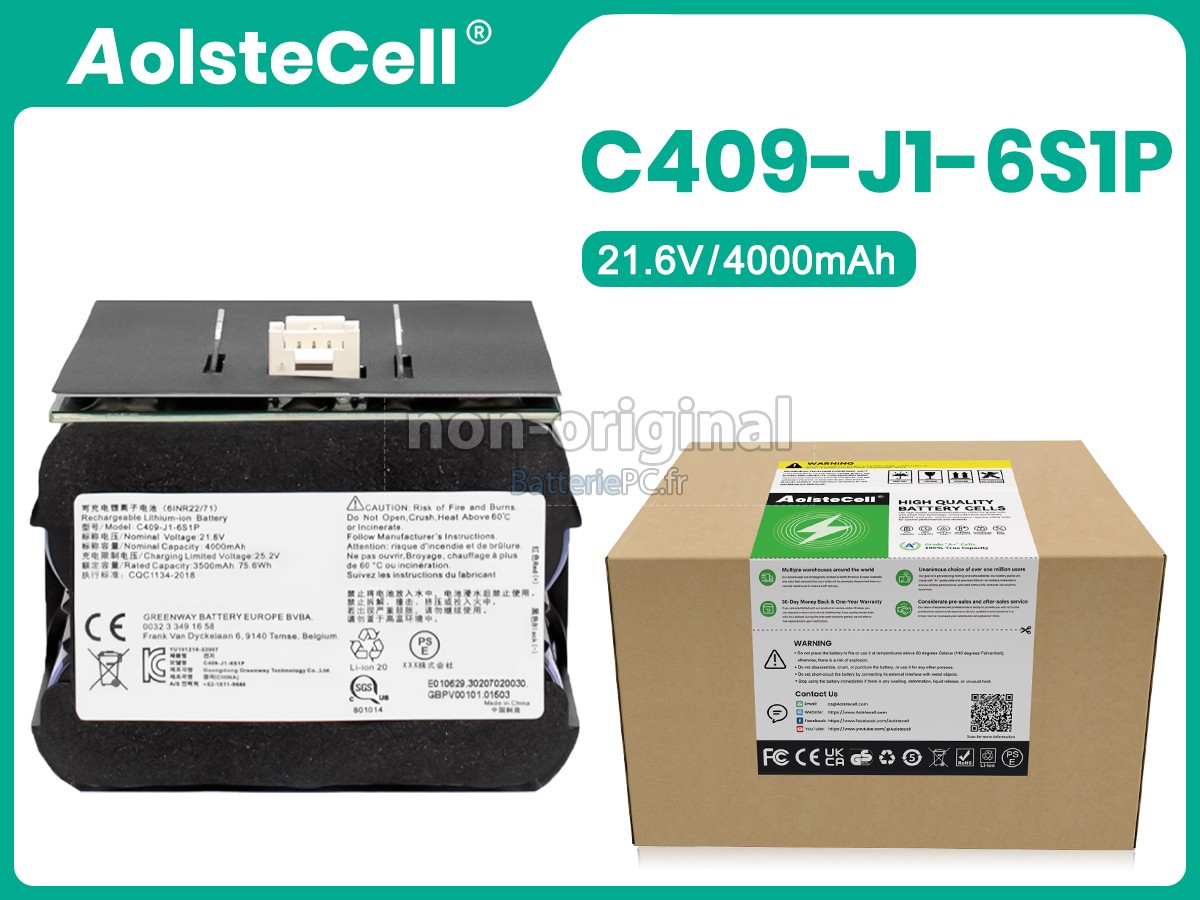batterie pour Roidmi C409-J1-6S1P(6INR22/71)