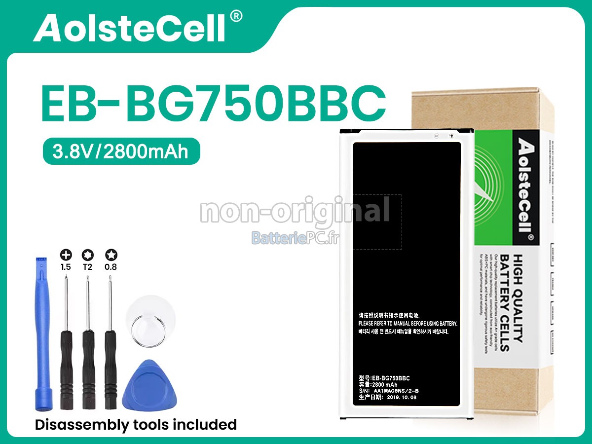 batterie pour Samsung MEGA 2