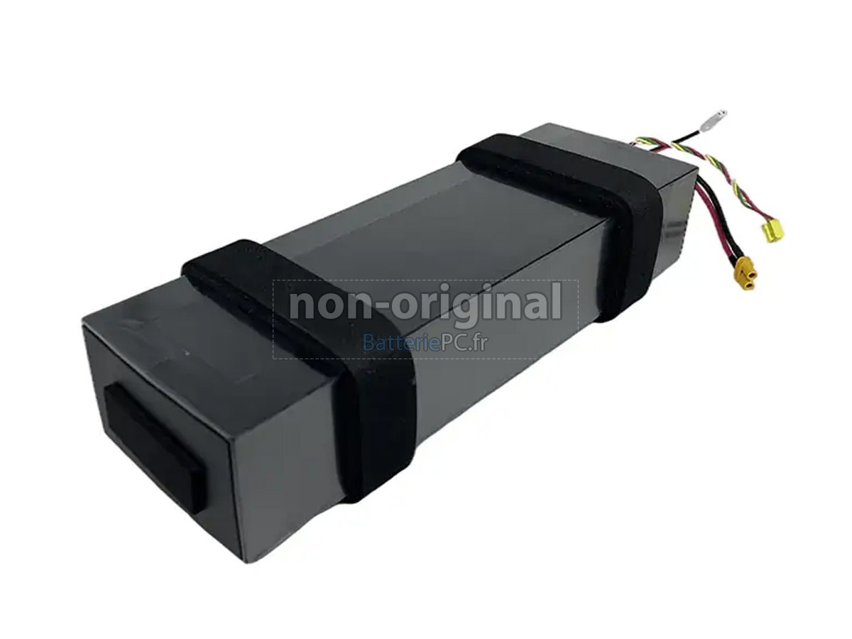 batterie pour Segway Ninebot NCAF3605A